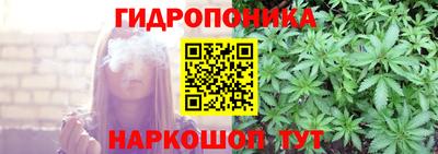 a pvp Новодвинск