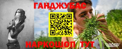 a pvp Новодвинск