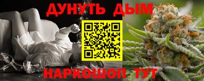 a pvp Новодвинск