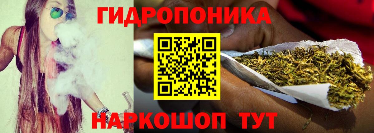 Конопля планчик Сергиев Посад